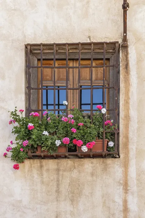 Framed Print : Albaicin, Granada, Province of Granada, Andalusia, Spain. Flowers in pots at a barred window Framed Print : Albaicin, Granada, Province of Granada, Andalusia, Spain. Flowers in pots at a barred window