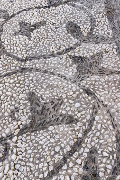 Framed Print : Albaicin, Province of Granada, Andalusia, Spain. A vine pattern on a sidewalk paved with black and white stones