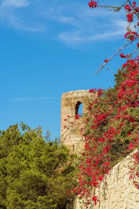 Framed Print : Alcazaba and Castle of Gibralfaro on Mount Malaga above the old town, Malaga, Spain Framed Print : Alcazaba and Castle of Gibralfaro on Mount Malaga above the old town, Malaga, Spain