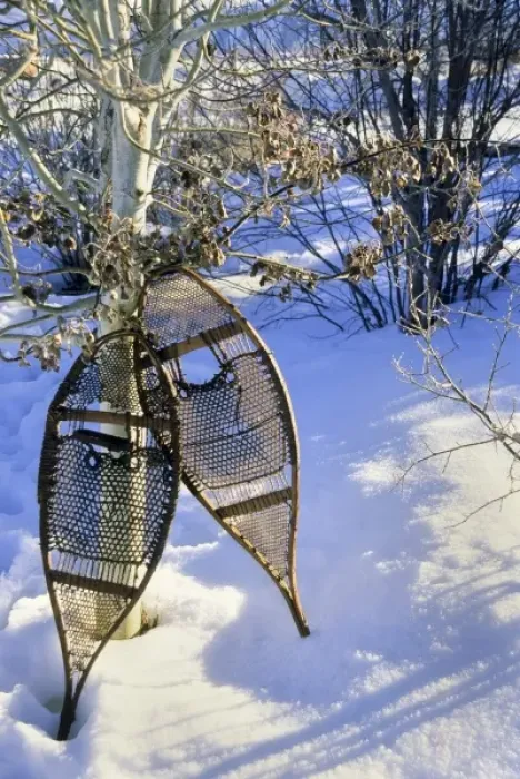 Framed Print : The Algonkin Indians made and used snow shoes for hunting and trapping during Framed Print : The Algonkin Indians made and used snow shoes for hunting and trapping during
