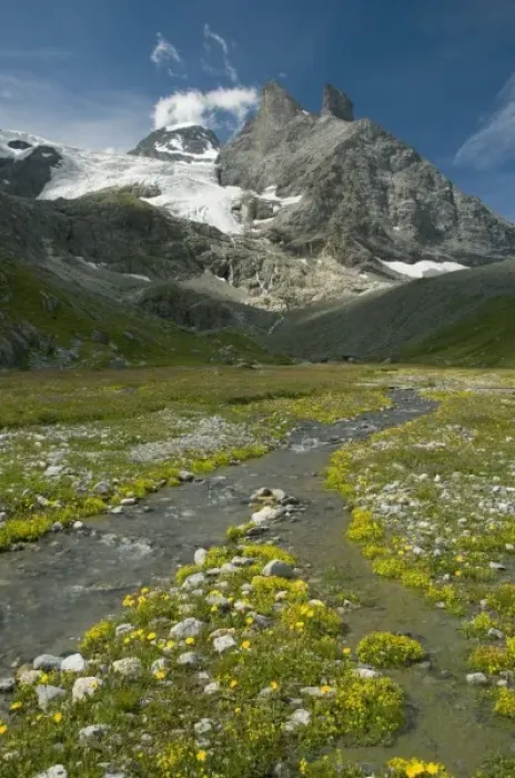 Framed Print : Alpine Meadow, Obersteinberg area, below Tschingelhorn, Upper Lauterbrunnen Valley
