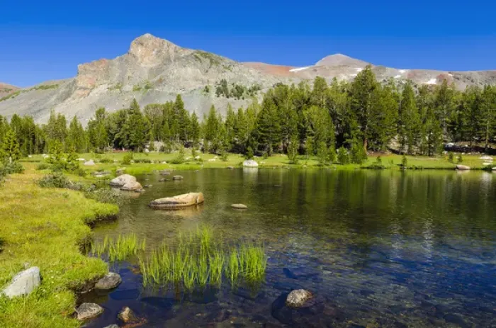 Framed Print : Alpine tarn in Dana Meadows under Mount Dana, Tuolumne Meadows, Yosemite National Park Framed Print : Alpine tarn in Dana Meadows under Mount Dana, Tuolumne Meadows, Yosemite National Park