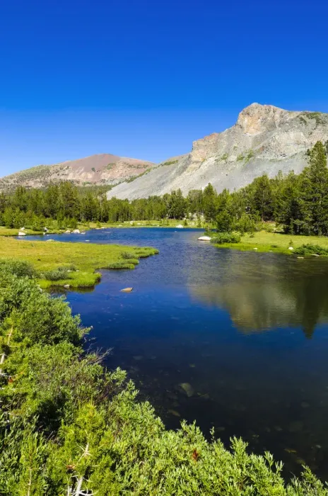 Framed Print : Alpine tarn in Dana Meadows under Mount Dana, Tuolumne Meadows, Yosemite National Park