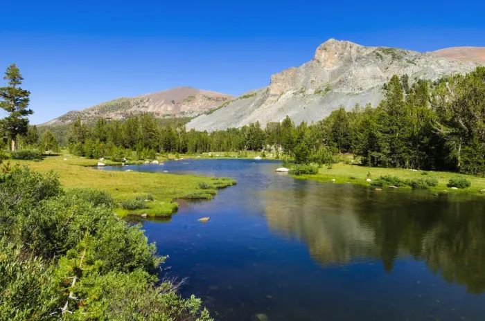 Framed Print : Alpine tarn in Dana Meadows under Mount Dana, Tuolumne Meadows, Yosemite National Park Framed Print : Alpine tarn in Dana Meadows under Mount Dana, Tuolumne Meadows, Yosemite National Park