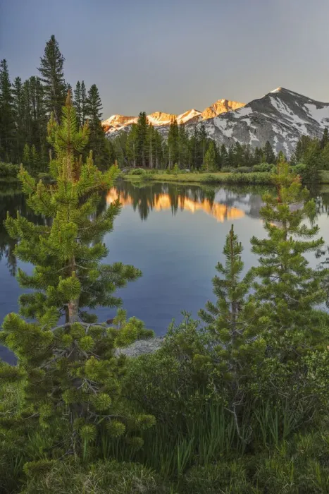 Framed Print : Alpine tarn, Tuolumne Meadows sunrise, Yosemite National Park, California Framed Print : Alpine tarn, Tuolumne Meadows sunrise, Yosemite National Park, California