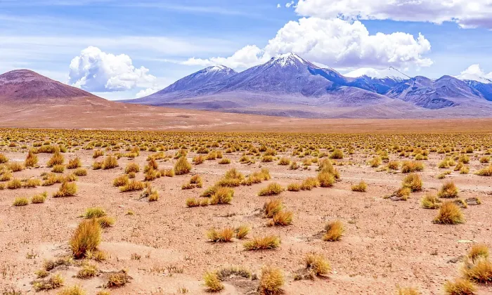 Framed Print : Altiplano, Bolivia. Landscape view of snow-capped mountains in the Cordillera Occidental of the Andean Mountain Range bordering Chile Framed Print : Altiplano, Bolivia. Landscape view of snow-capped mountains in the Cordillera Occidental of the Andean Mountain Range bordering Chile