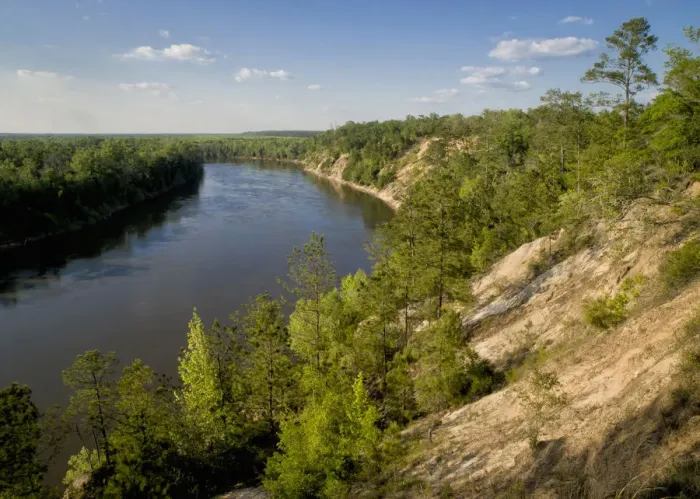 Framed Print : alum bluffs and Apalachicola River in Northern Florida, Florida panhandle Framed Print : alum bluffs and Apalachicola River in Northern Florida, Florida panhandle