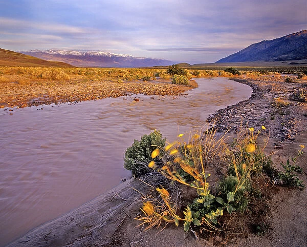 Amargosa River and Pantamint Range in Death Valley National Park in California