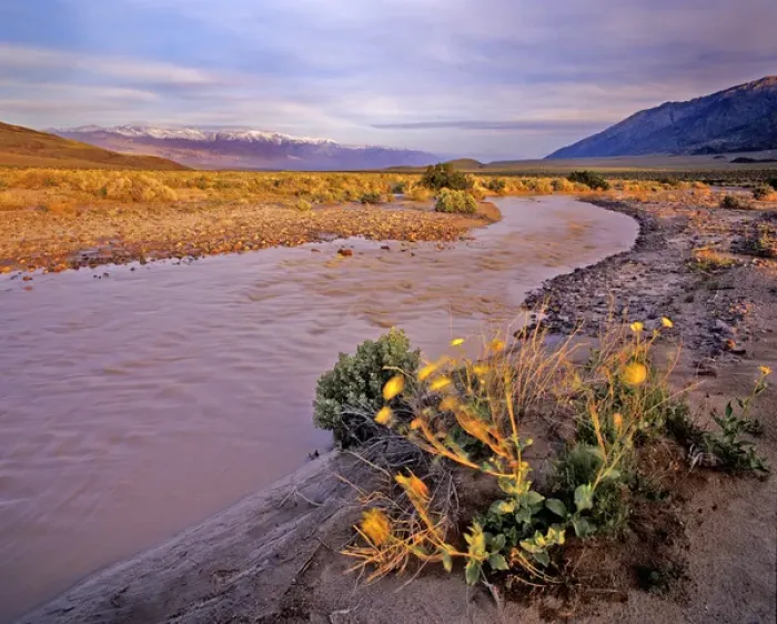 Framed Print : Amargosa River and Pantamint Range in Death Valley National Park in California Framed Print : Amargosa River and Pantamint Range in Death Valley National Park in California