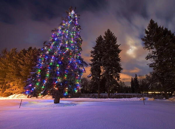 Amazing dusk light and Christmas lights at the Whitefish Lake Golf course in Whitefish
