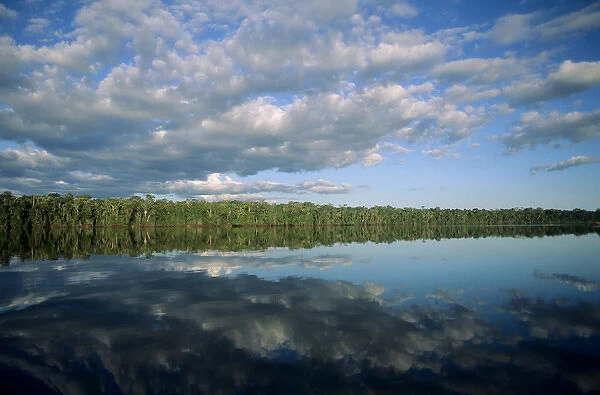 Amazon; forested river bank reflected in the water with clouds in the sky
