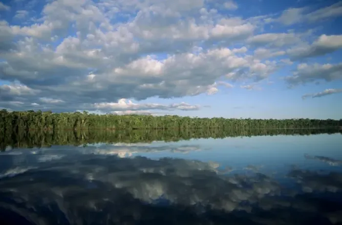 Framed Print : Amazon; forested river bank reflected in the water with clouds in the sky