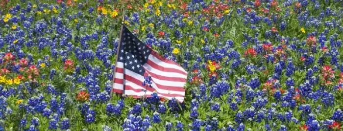 Framed Print : American Flag in field of Blue Bonnets, Paintbrush Texas Hill Country Framed Print : American Flag in field of Blue Bonnets, Paintbrush Texas Hill Country