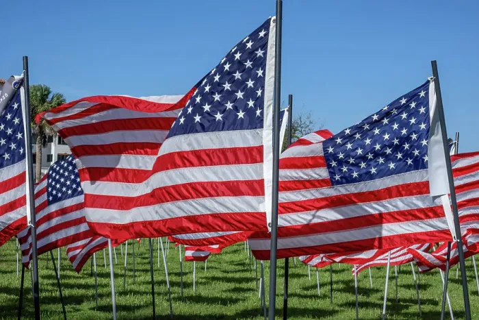 Framed Print : American flags displayed on Veteran's Day, New Smyrna Beach, Florida