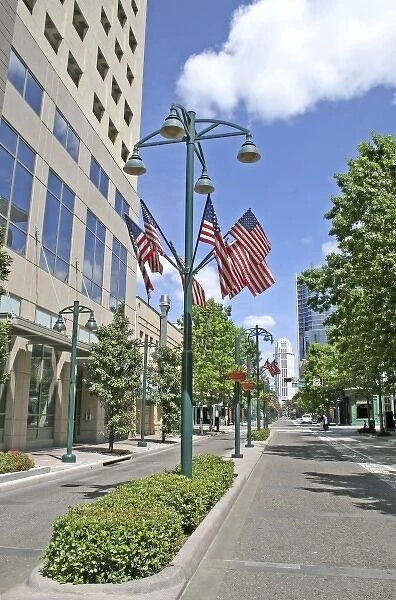 American flags on Magnolia Avenue, downtown Orlando, Florida