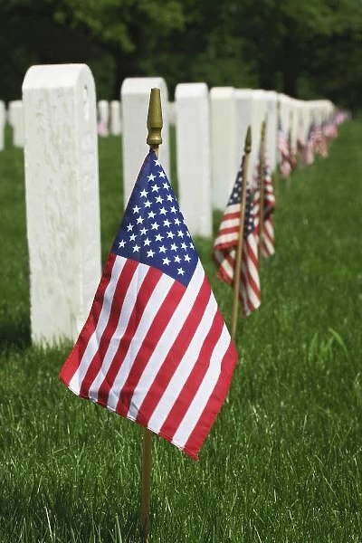 American flags on tombs of American Veterans on Memorial Day, Zachary Taylor National Cemetery