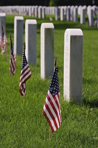 American flags on tombs of American Veterans on Memorial Day, Zachary Taylor National Cemetery