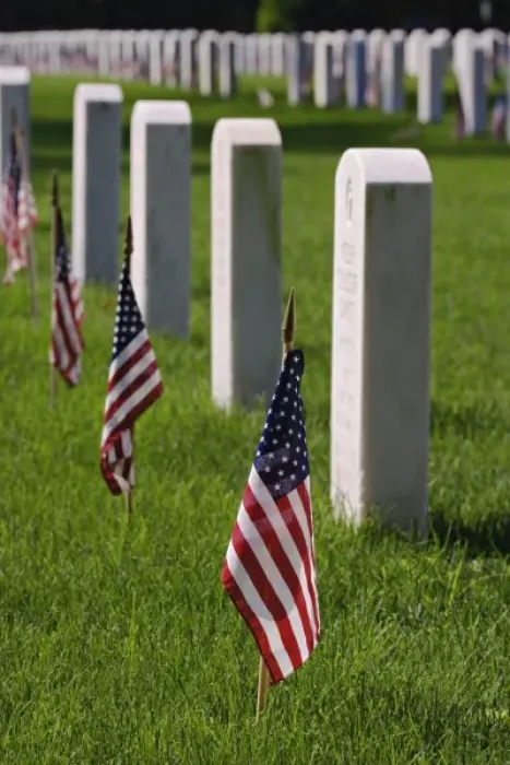 Framed Print : American flags on tombs of American Veterans on Memorial Day, Zachary Taylor National Cemetery