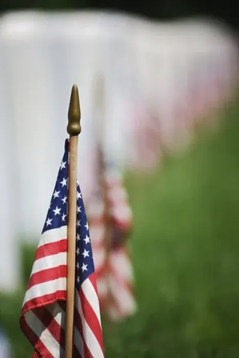 Framed Print : American flags on tombs of American Veterans on Memorial Day, Zachary Taylor National Cemetery