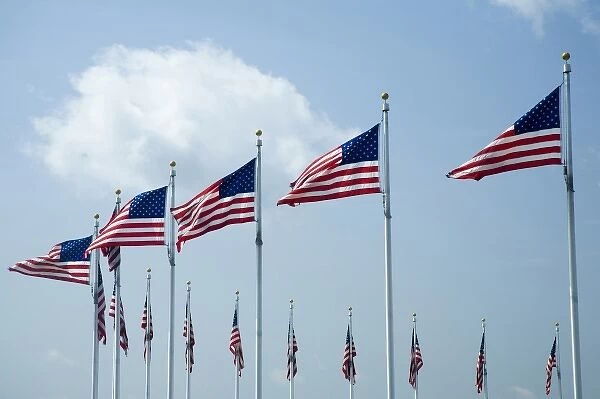 American flags next to Washington Monument, Washington D. C. (District of Columbia)