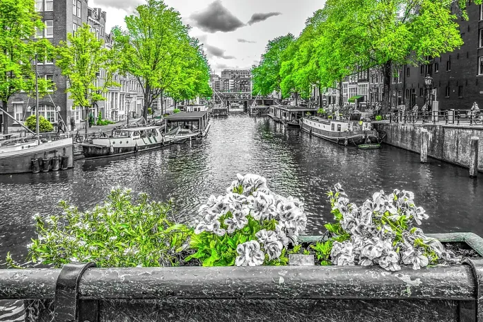 Framed Print : Amsterdam, Netherlands. Colorized black and white view of Amsterdam's scenic canals Framed Print : Amsterdam, Netherlands. Colorized black and white view of Amsterdam's scenic canals