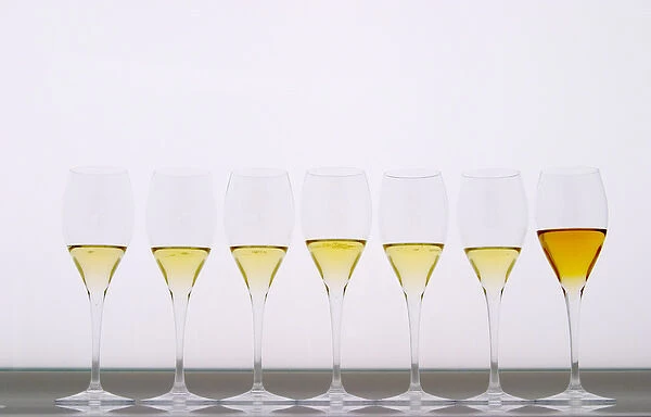 Analytical wine tasting in a neutral white environment a white desk a backlit white