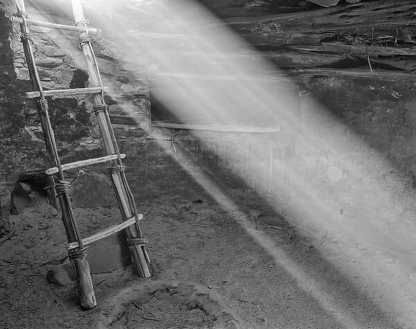 Ancient Kiva With Ladder Cedar Mesa Utah USA