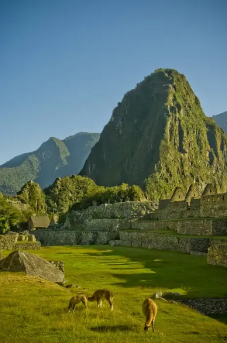 Framed Print : Ancient Machu Picchu, last refuge of the vanished Inca civilization in the Andes Mountains Framed Print : Ancient Machu Picchu, last refuge of the vanished Inca civilization in the Andes Mountains