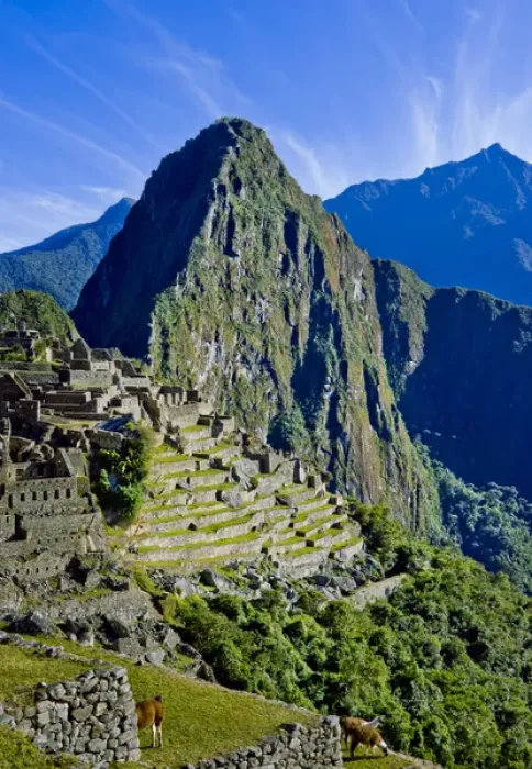 Framed Print : Ancient Machu Picchu, last refuge of the vanished Inca civilization in the Andes Mountains Framed Print : Ancient Machu Picchu, last refuge of the vanished Inca civilization in the Andes Mountains