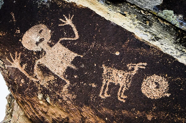 Ancient Native American petroglyphs in Petrified Forest National Park, AZ