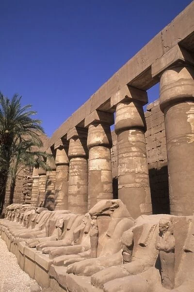 Ancient ruins of kings at the Temple of Karnak in Luxor Egypt