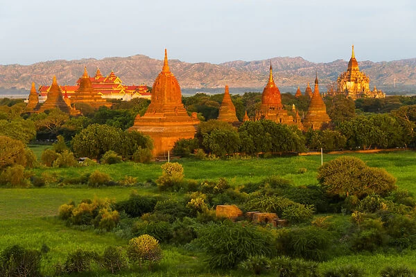 Ancient temple and pagoda rising out of the jungle at sunrise, Bagan, Mandalay Region