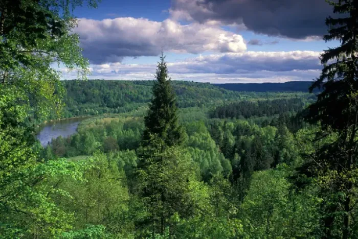 Framed Print : Ancient valley of Gauja River in the Guaja National Park from Painters / Artist s Framed Print : Ancient valley of Gauja River in the Guaja National Park from Painters / Artist s