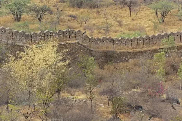 Framed Print : Ancient wall around old fort above Udaipur, India