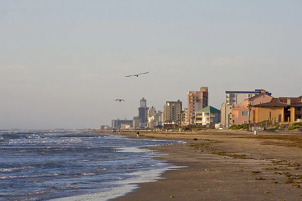Andy Bowie Park, South Padre Island, Texas, North America, USA. Skyline of South