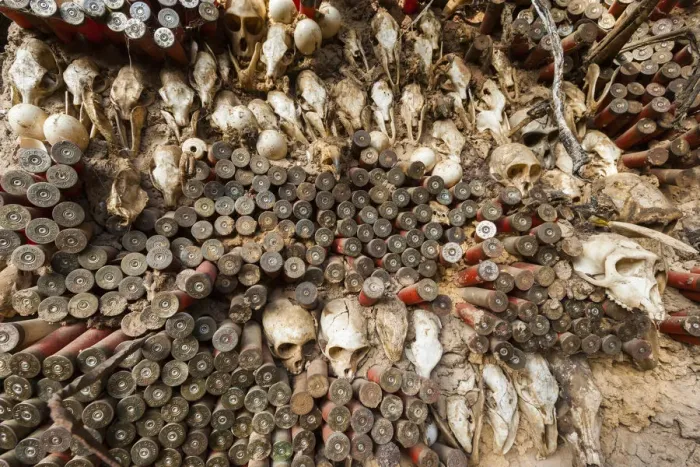 Framed Print : Animal skulls and ammo embedded in wall, Mopti Region, Mali Framed Print : Animal skulls and ammo embedded in wall, Mopti Region, Mali