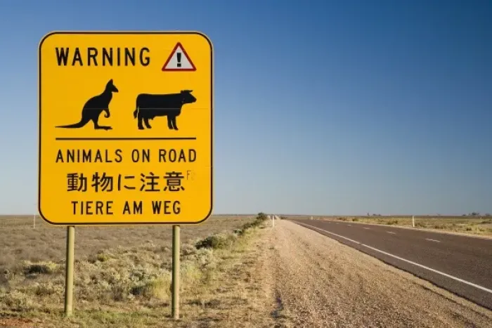 Framed Print : Animals on Road Warning Sign, Stuart Highway near Port Augusta, Outback, South Australia Framed Print : Animals on Road Warning Sign, Stuart Highway near Port Augusta, Outback, South Australia