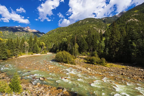 The Animas River, San Juan National Forest, Colorado USA