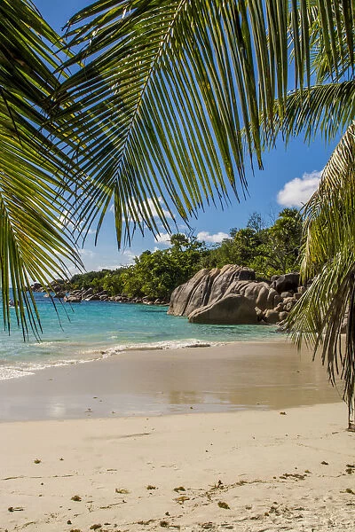 Anse Lazio Beach, Praslin, Republic of Seychelles, Indian Ocean