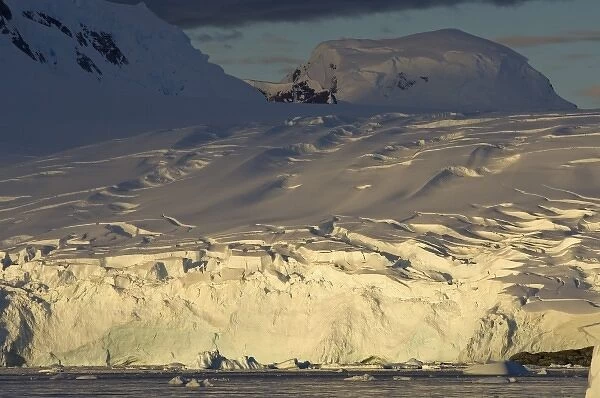 Antarctic, Antarctic