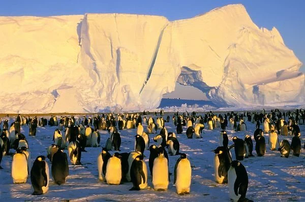 Antarctica, Antarctic