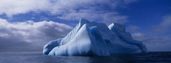 Antarctica, Deception Island, Blue iceberg floats in calm seas just off Baily Head