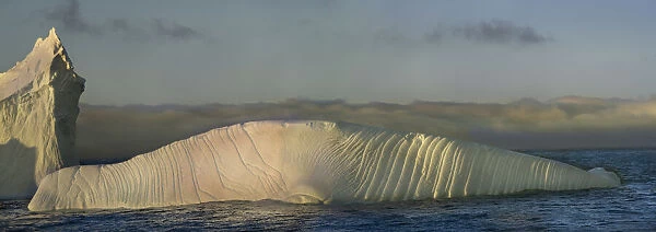Antarctica, South Georgia Island, Coopers Bay. Iceberg shaped like elephant seal at