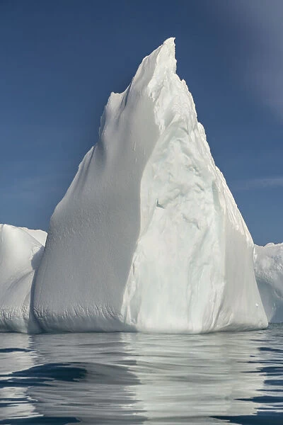 Antarctica, South Georgia Island, Stromness Bay. Iceberg reflects in ocean