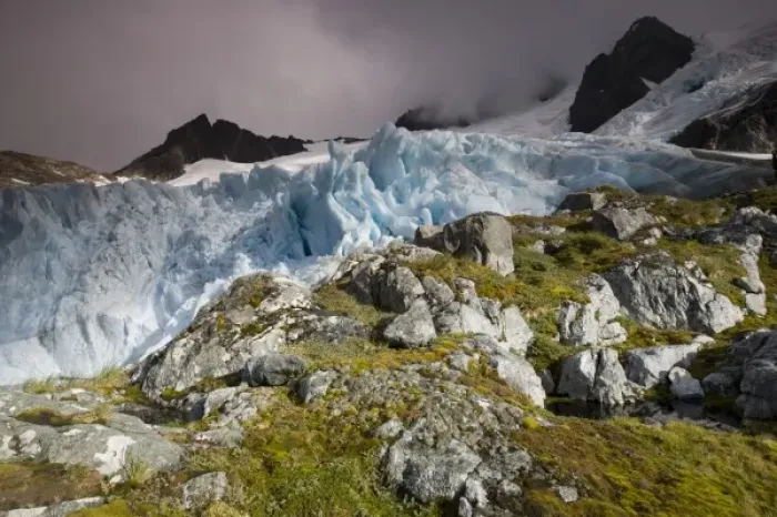 Framed Print : Antarctica, South Georgia Island (UK), Jagged blue ice face of tidewater glacier