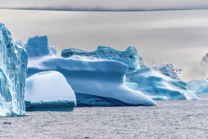 Framed Print : Antarctica, South Orkney Islands. Icebergs in ocean. ©Cathy & Gordon Illg  /  Jaynes Gallery  /  DanitaDelimont.com