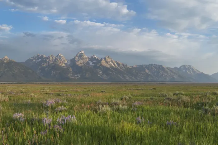 Framed Print : Antelope Flats, Grand Teton National Park Framed Print : Antelope Flats, Grand Teton National Park