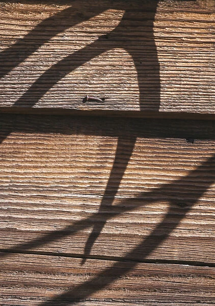 Antler shadows on wood, California