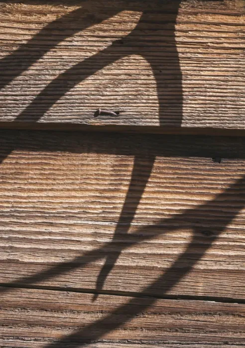 Framed Print : Antler shadows on wood, California Framed Print : Antler shadows on wood, California
