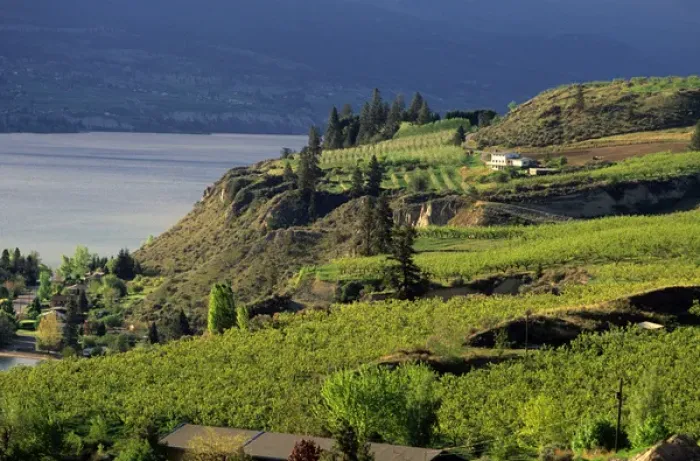 Framed Print : Apple and fruit orchards in Okanagan Valley, British Columbia. house, hill Framed Print : Apple and fruit orchards in Okanagan Valley, British Columbia. house, hill